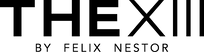 THE XIII CO logo